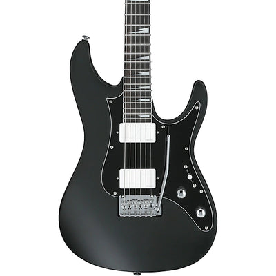 Ibanez BER10 Bernth Signature Electric Guitar - Matte Black product image