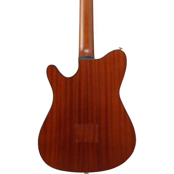 Ibanez Nylon String Acoustic Guitar - Brown Sunburst Flat detail image 12