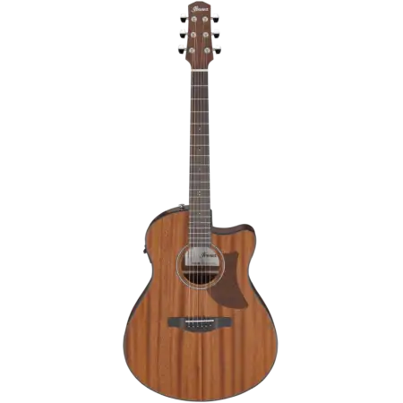 Ibanez AAM54CE-OPN - Ibanez - VisionSounds South Africa