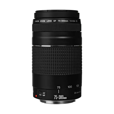 Canon EF 75-300mm f/4-5.6 III Lens