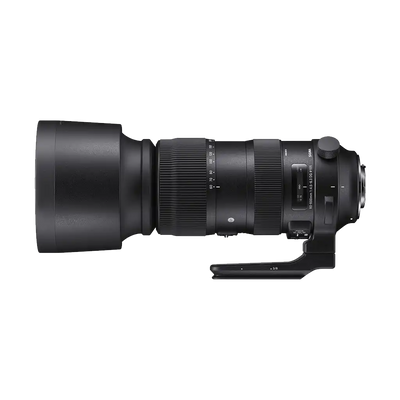 Sigma 60-600mm f/4.5-6.3 DG OS HSM Sports Lens (Nikon F)