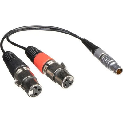 Atomos XLR Breakout Cable (input only) - Atomos - VisionSounds South Africa