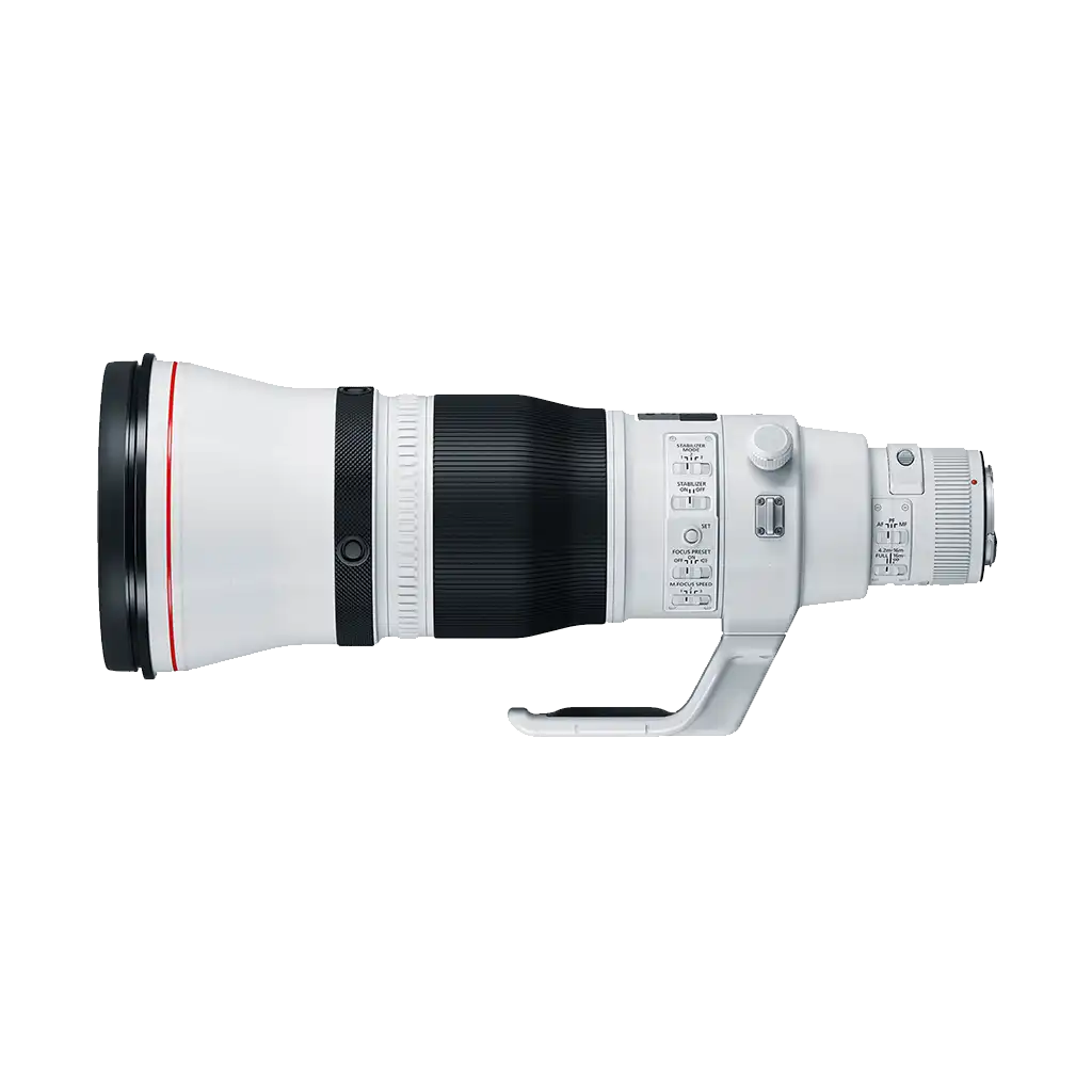 Super-telephoto lens for safari and wildlife photography in South Africa