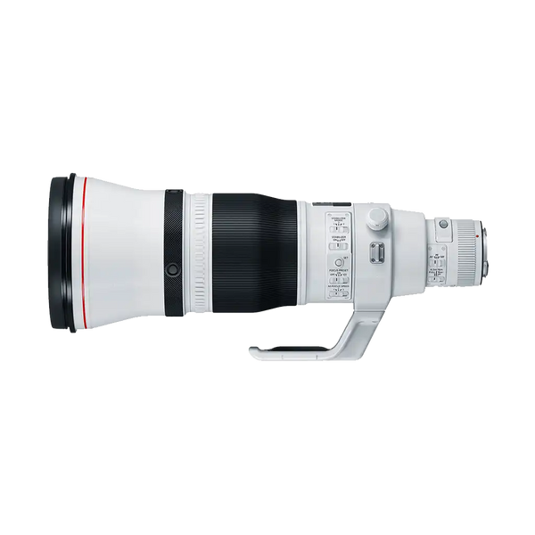 Super-telephoto lens for safari and wildlife photography in South Africa