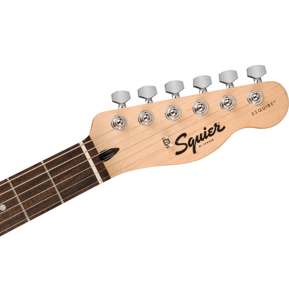 Fender Squier Sonic Esquire Telecaster - Single Humbucker Electric Guitar - Ultraviolet detail image 4