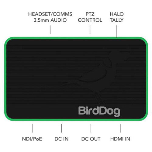 BirdDog Flex 4K In detail image 2