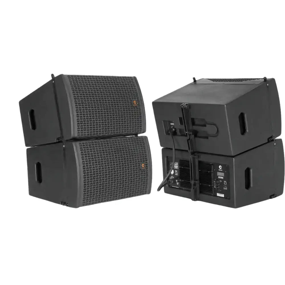 Celto Acoustique ACS10 with ACS218 Combo - Image 6