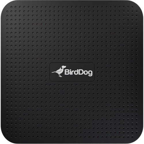 BirdDog Play 4K NDI Player detail image 3