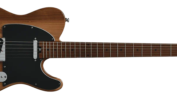 Bacchus BTE Global Series Roasted Maple Electric Guitar detail image 8
