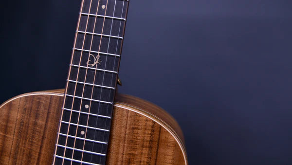 Crafter Grand Mino ALK Solid Top Acoustic -Electric Guitar detail image 4