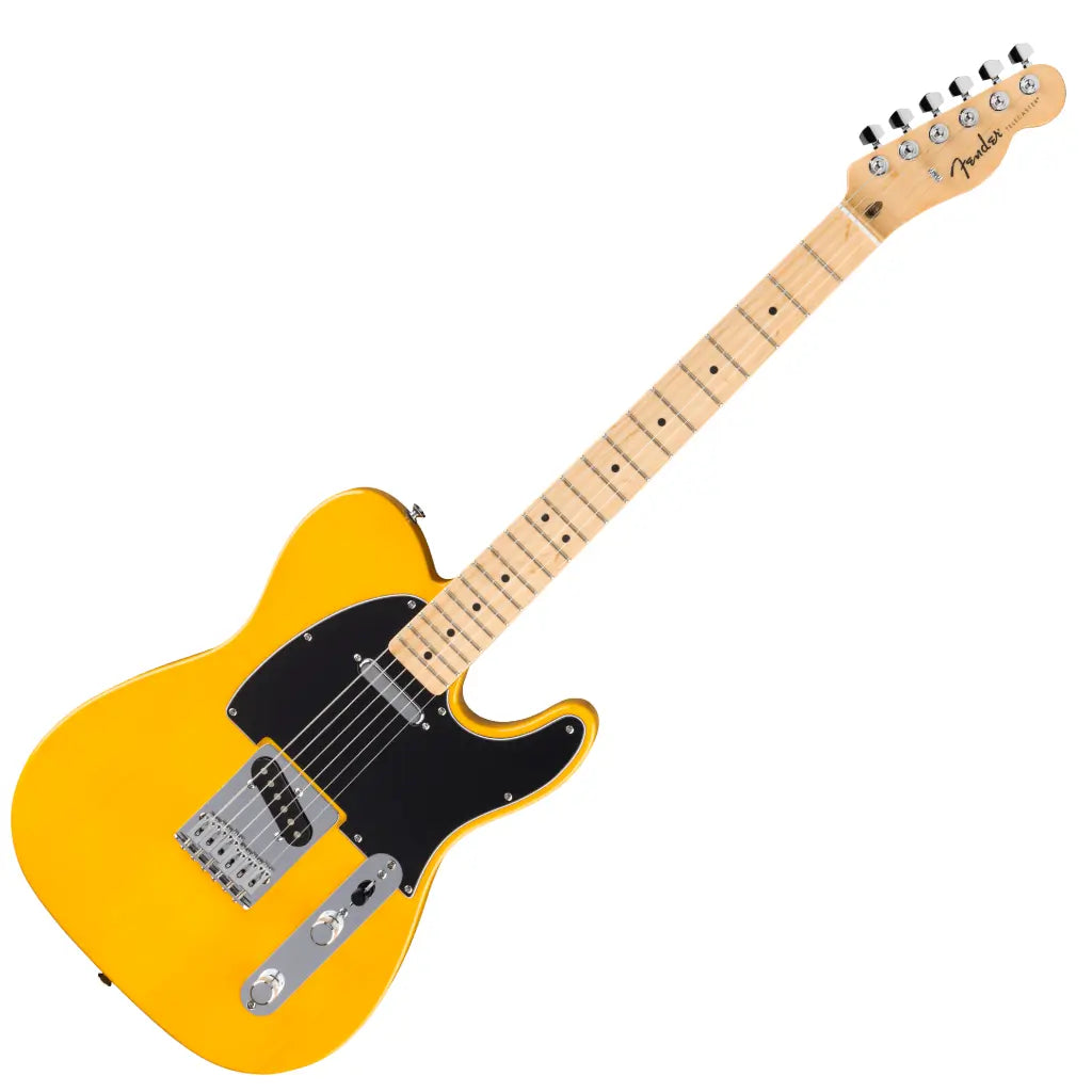 Fender Standard Telecaster Electric Guitar - Butterscotch Blonde detail image 2