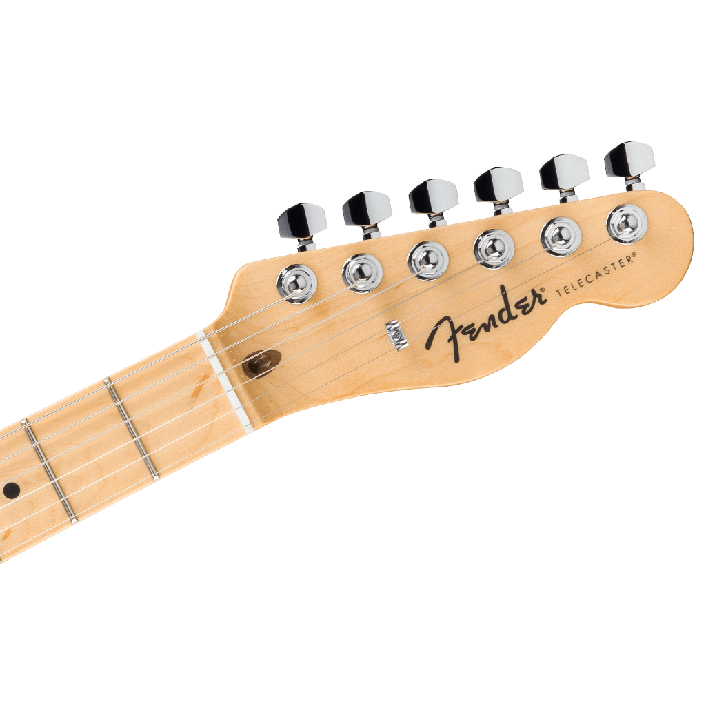 Fender Standard Telecaster Electric Guitar - Butterscotch Blonde detail image 4