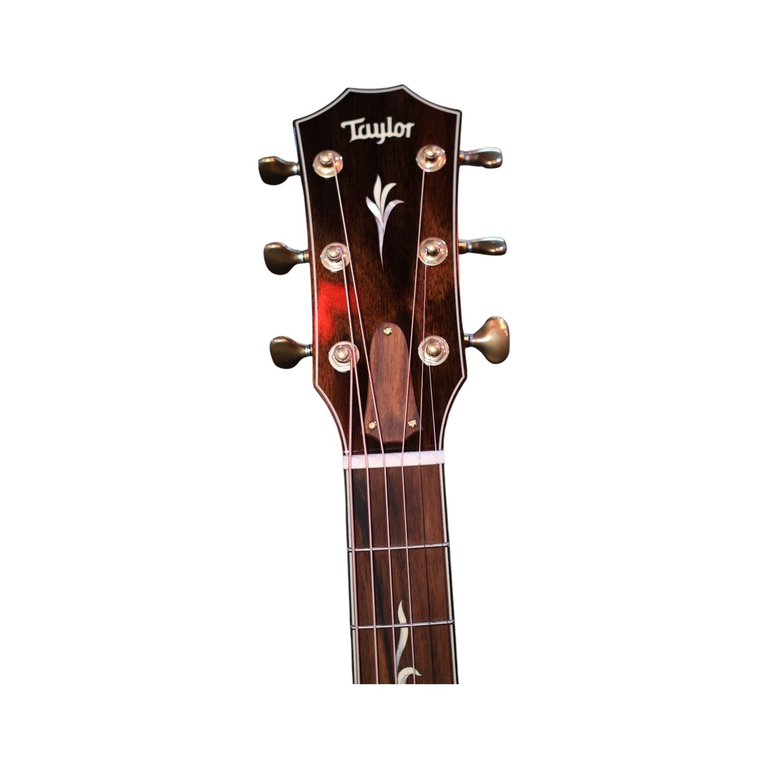 Taylor C14ce Grand Auditorium Acoustic-Electric Guitar detail image 6