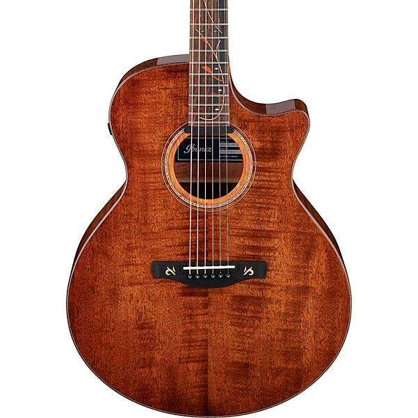 Ibanez AE295LTD Limited-Edition Acoustic-Electric Guitar product image