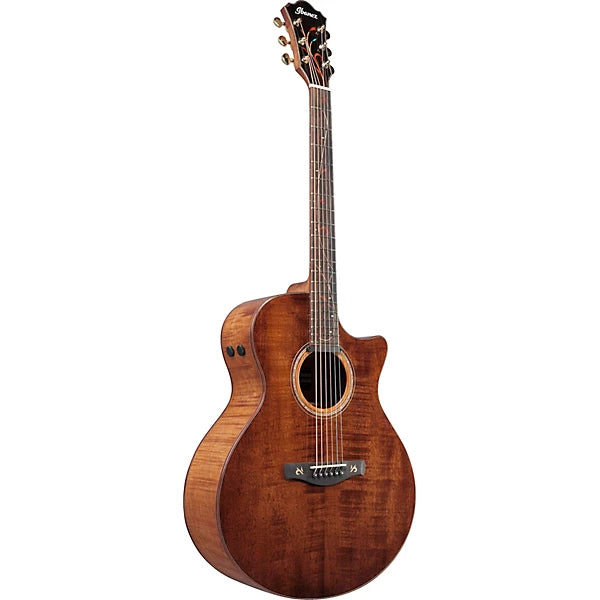 Ibanez AE295LTD Limited-Edition Acoustic-Electric Guitar detail image 2