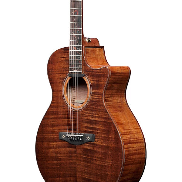 Ibanez AE295LTD Limited-Edition Acoustic-Electric Guitar detail image 3