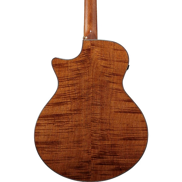 Ibanez AE295LTD Limited-Edition Acoustic-Electric Guitar detail image 4