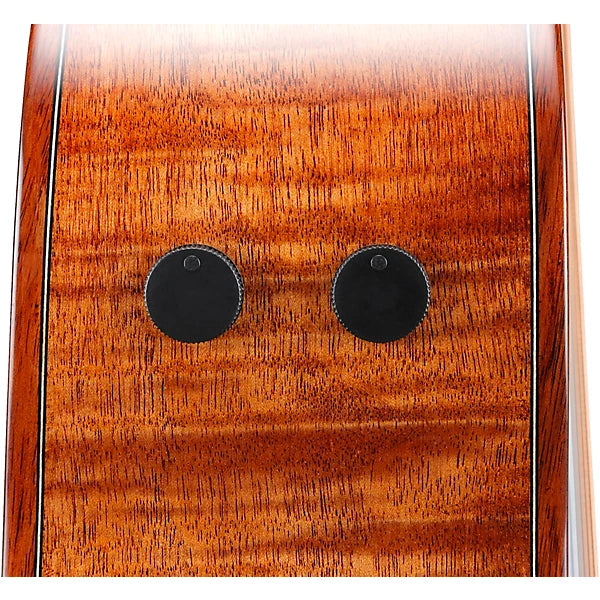 Ibanez AE295LTD Limited-Edition Acoustic-Electric Guitar detail image 7