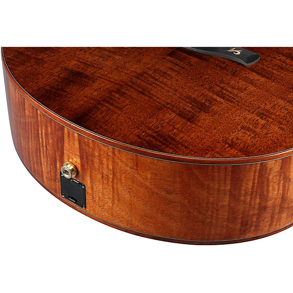 Ibanez AE295LTD Limited-Edition Acoustic-Electric Guitar detail image 6