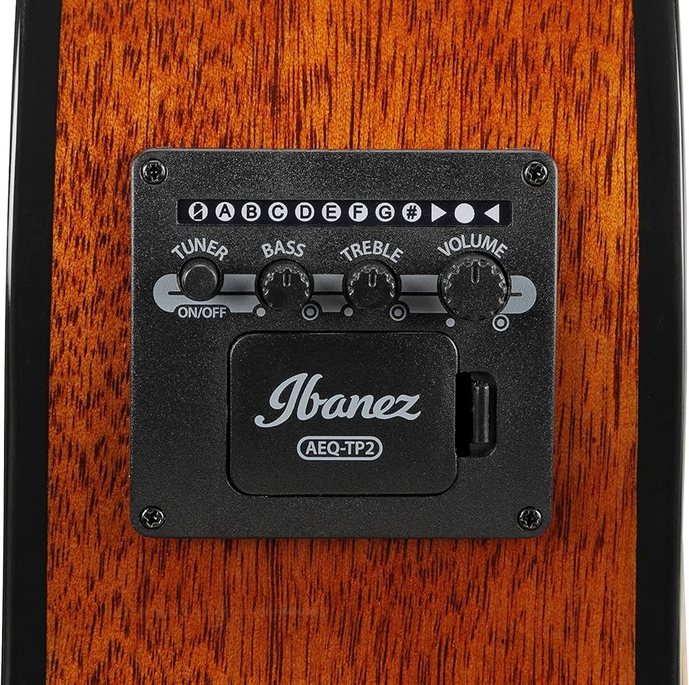 Ibanez AEG51-TRH Acoustic Guitar - Transparent Red Sunburst detail image 7