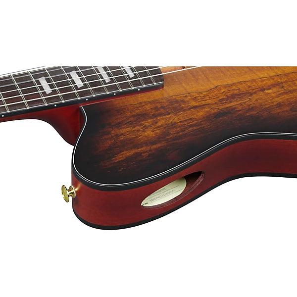 Ibanez FRH20 Thinline Nylon-string Acoustic-electric Guitar - Satin Natural detail image 5