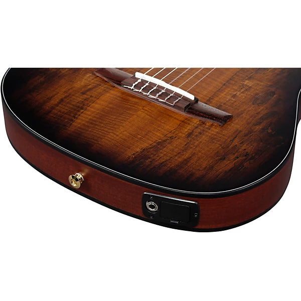Ibanez FRH20 Thinline Nylon-string Acoustic-electric Guitar - Satin Natural detail image 6