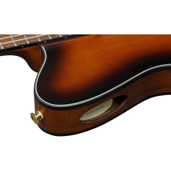 Ibanez Nylon String Acoustic Guitar - Brown Sunburst Flat detail image 10