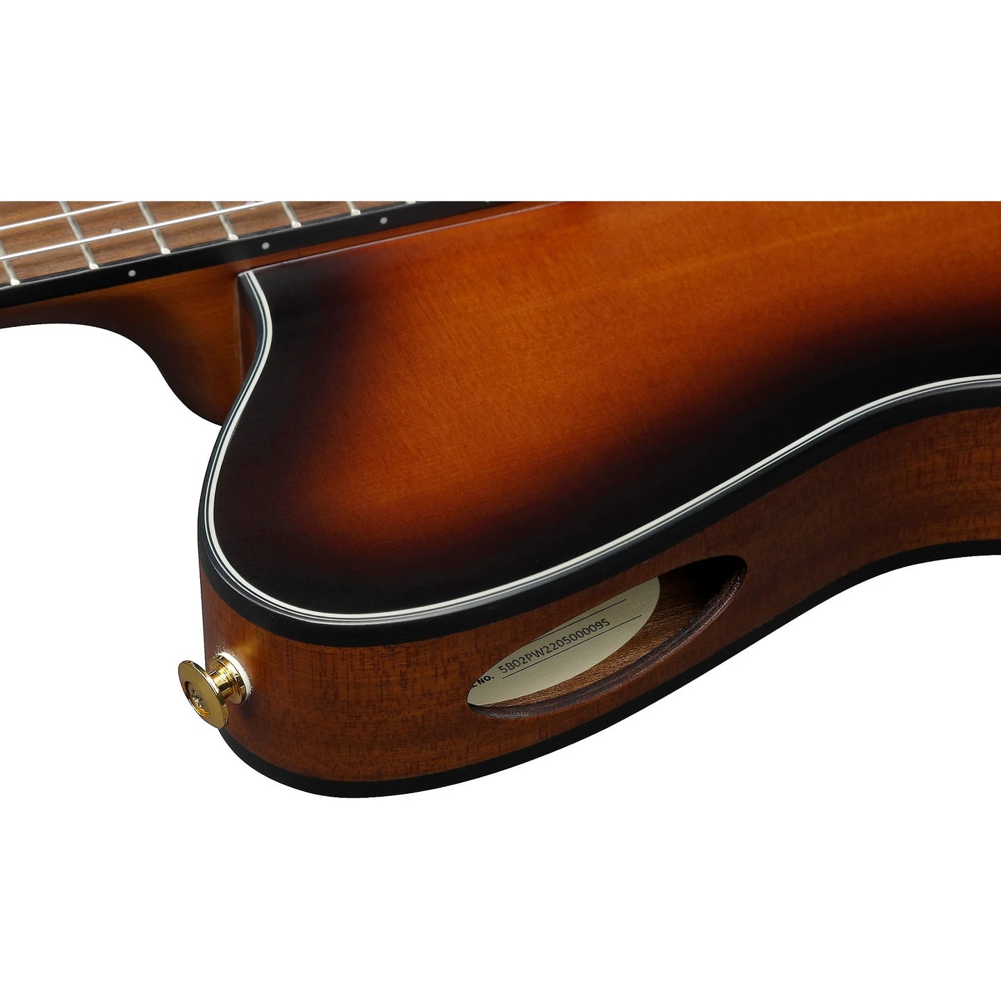 Ibanez Nylon String Acoustic Guitar - Brown Sunburst Flat detail image 3