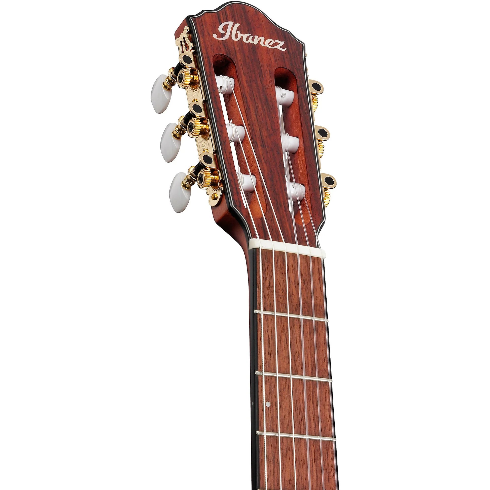 Ibanez Nylon String Acoustic Guitar - Brown Sunburst Flat detail image 6