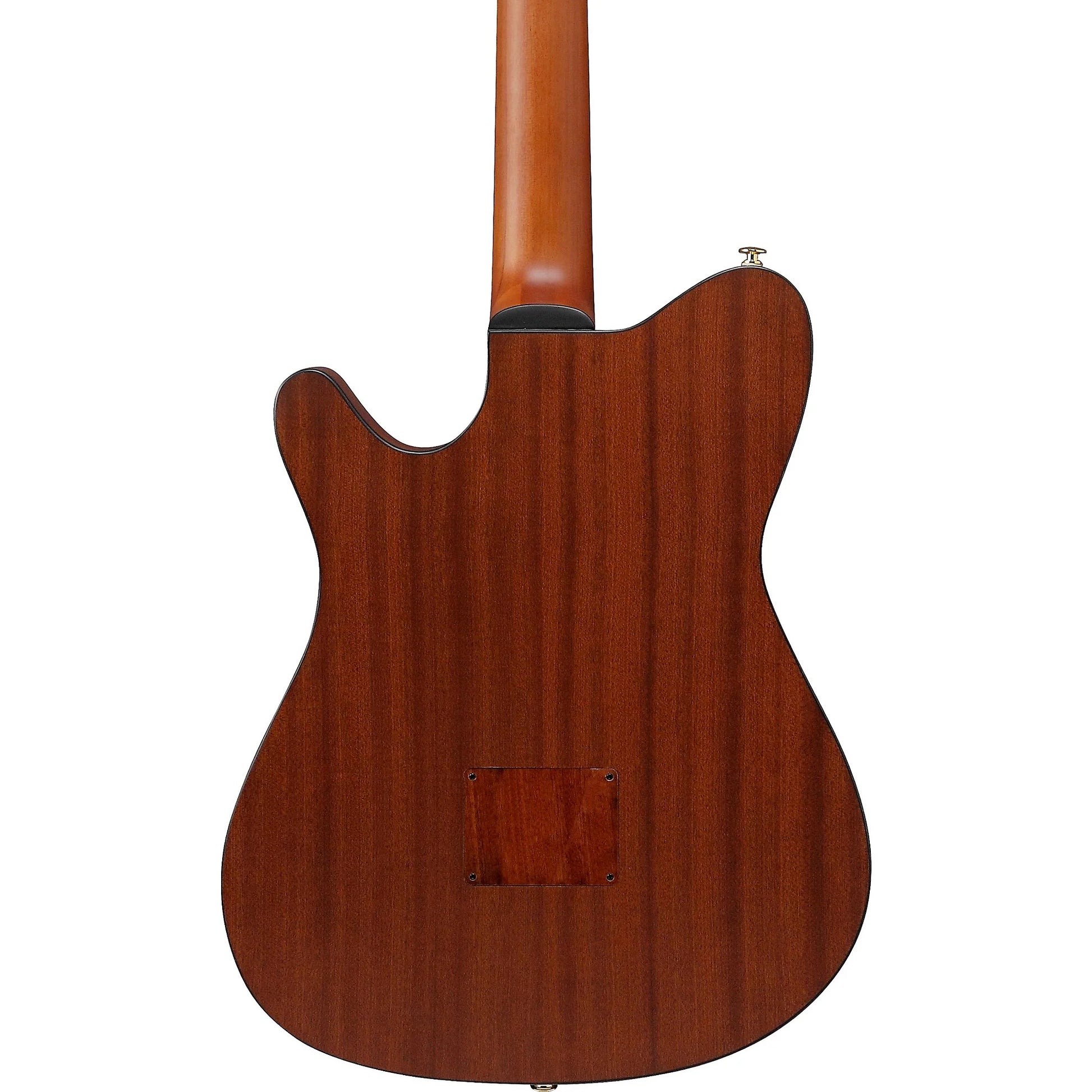 Ibanez Nylon String Acoustic Guitar - Natural Flat detail image 7