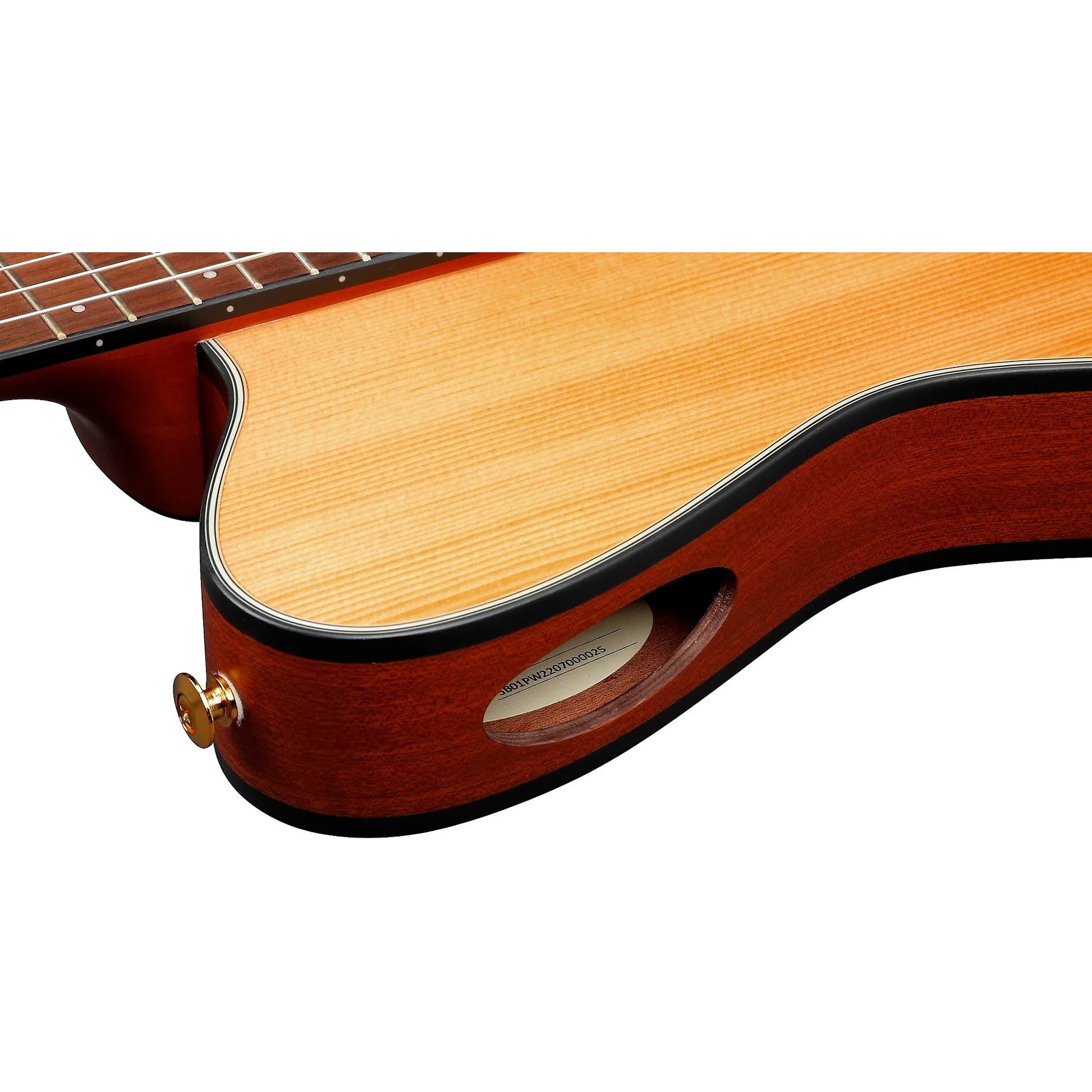 Ibanez Nylon String Acoustic Guitar - Natural Flat detail image 3
