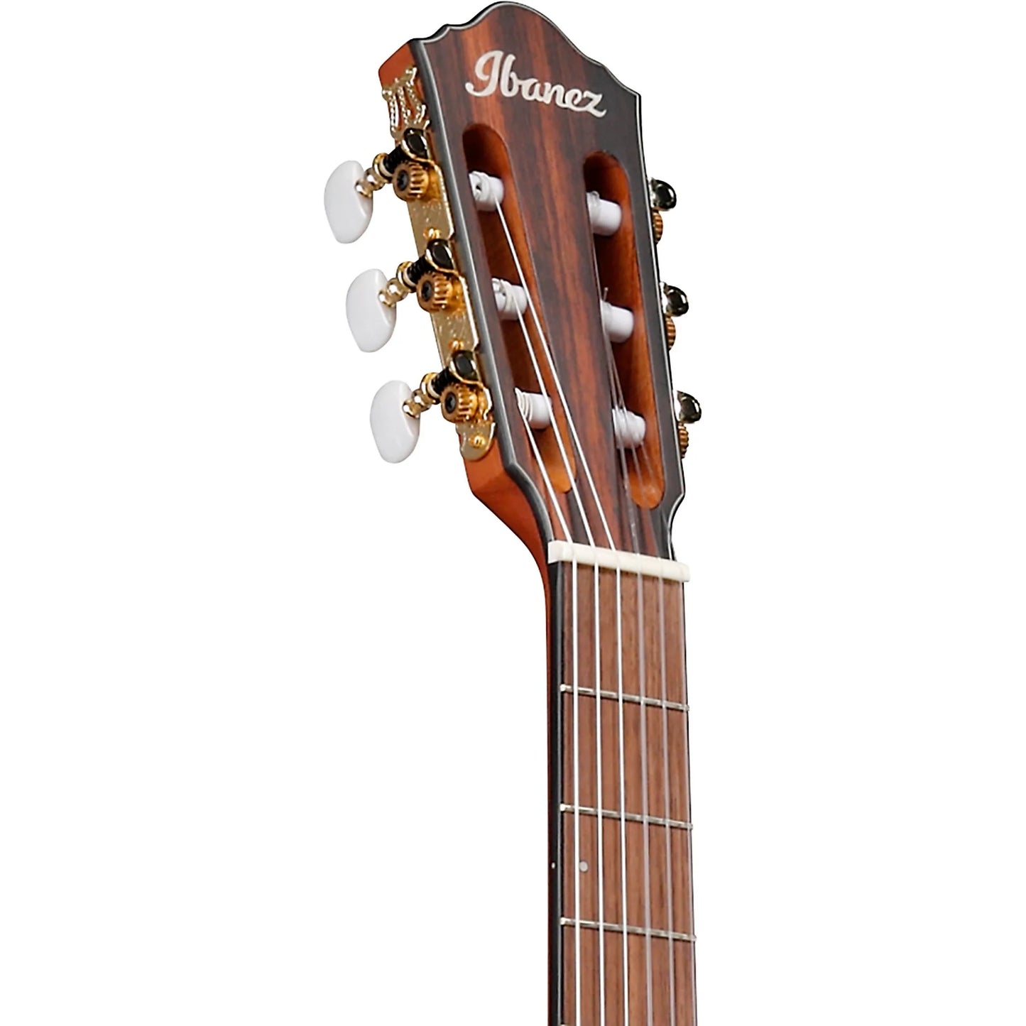 Ibanez Nylon String Acoustic Guitar - Natural Flat detail image 8
