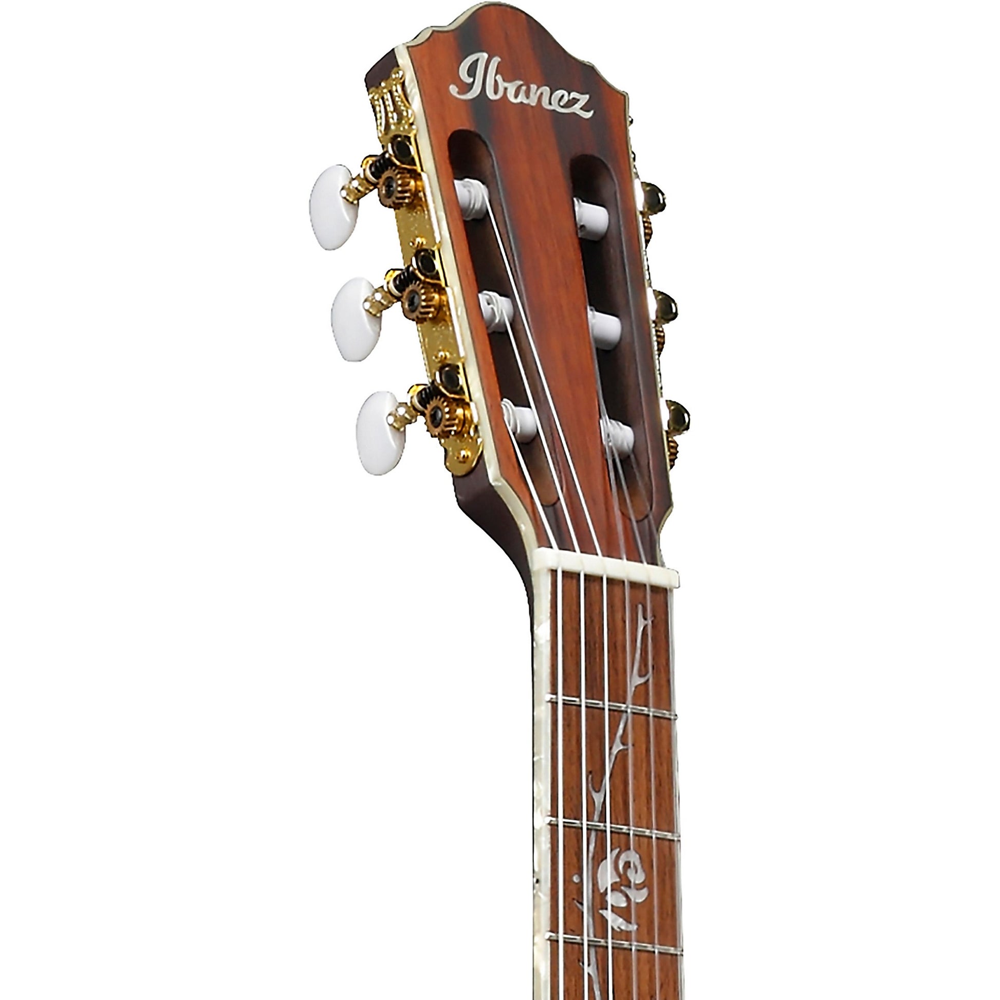 Ibanez Tim Henson Nylon Acoustic Electric Guitar - Black detail image 5