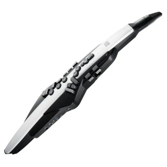 Roland Aerophone AE-20 Digital Wind Instrument - Roland - VisionSounds South Africa