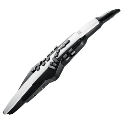 Roland Aerophone AE-20 Digital Wind Instrument - Roland - VisionSounds South Africa