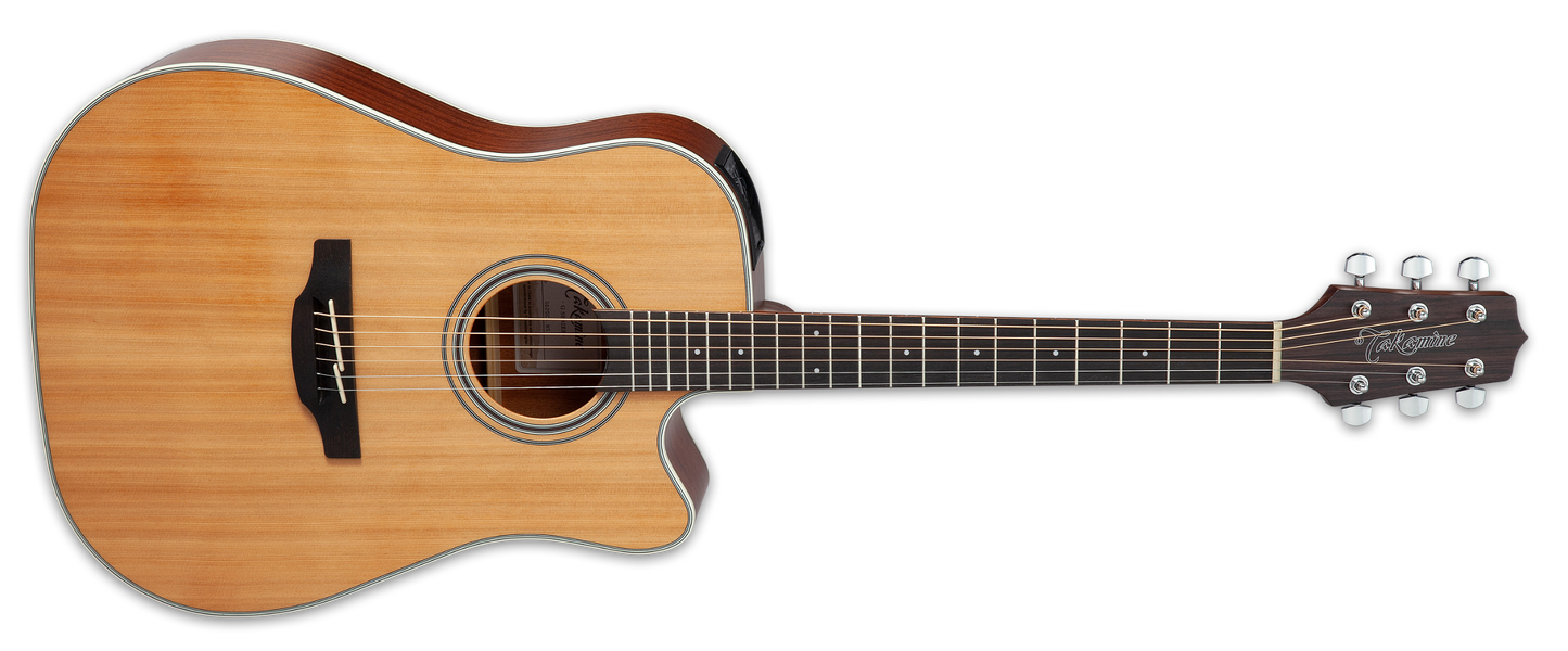 Takamine GD20CE-NS Acoustic Electric Guitar - Natural Satin detail image 2