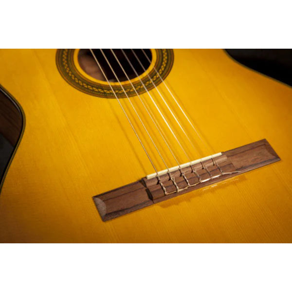 Takamine GC1CE Nylon String Acoustic Guitar - Natural detail image 3