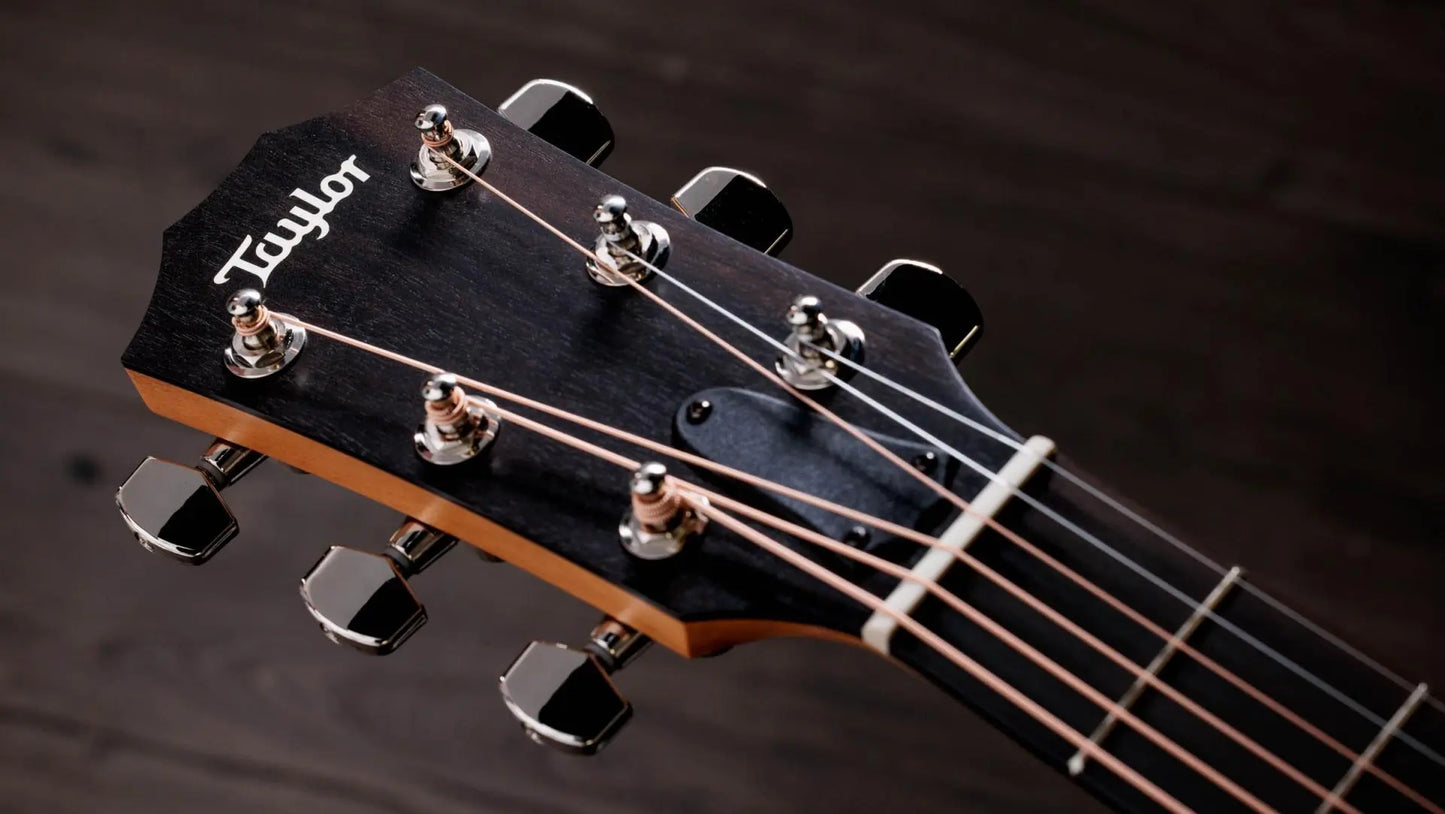 Taylor 214ce-Plus Grand Auditorium Acoustic Guitar W/Pick-up detail image 5