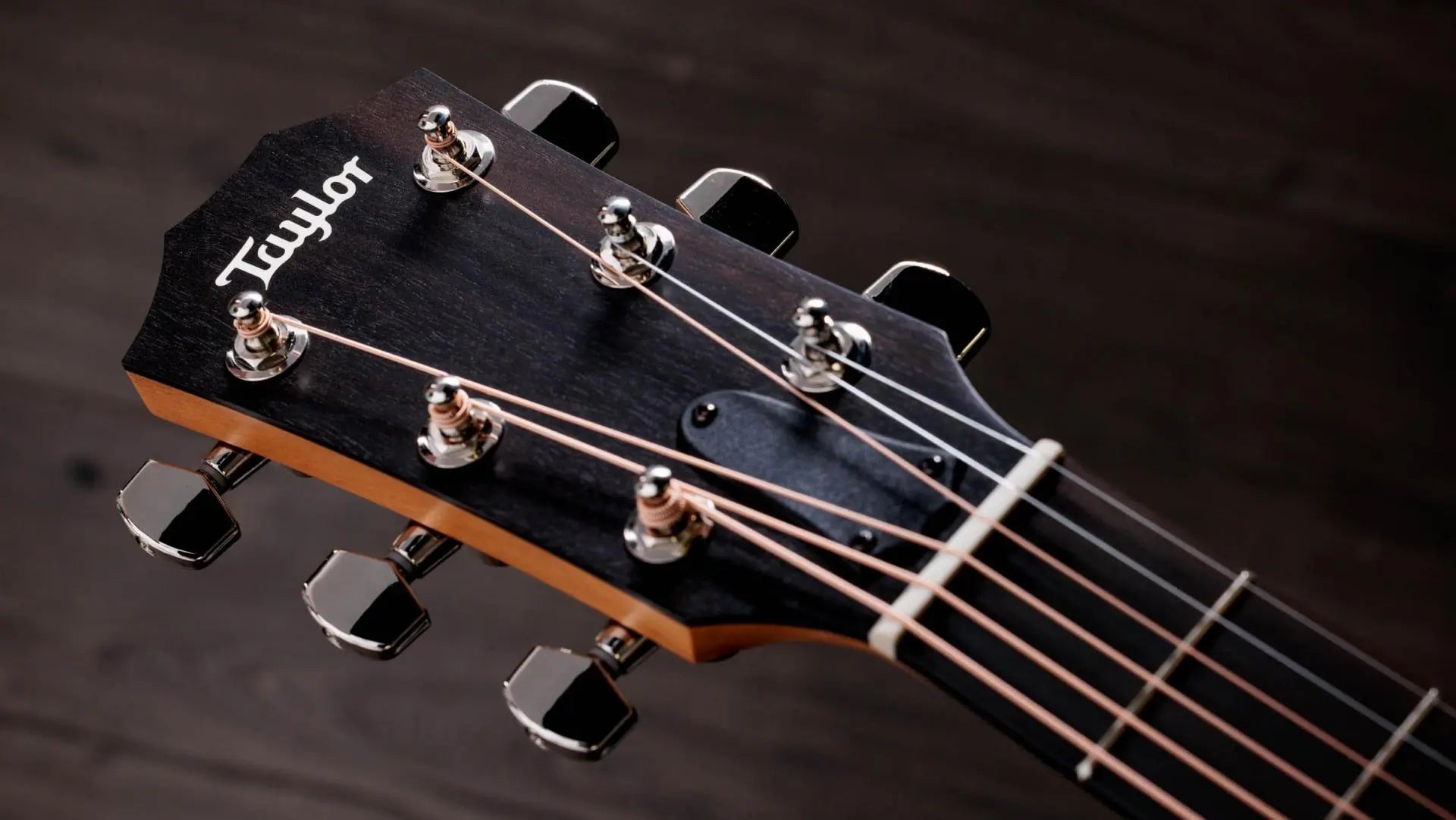 Taylor 214ce-Plus Grand Auditorium Acoustic Guitar W/Pick-up detail image 5