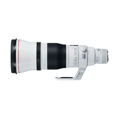 Canon EF 600mm f/4L IS III USM Lens