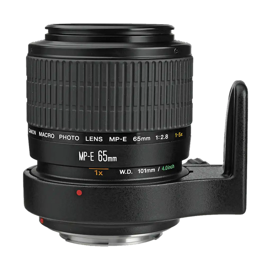 Canon MP-E 65mm f/2.8 (1-5x) Macro Lens