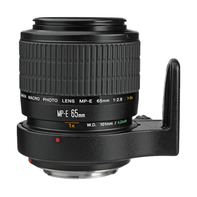Canon MP-E 65mm f/2.8 (1-5x) Macro Lens