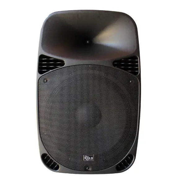 Filo FCA15A ACTIVE MOULDED SPEAKER MP3/USB/SD/FM/BT 15in 200W - Filo - VisionSounds South Africa