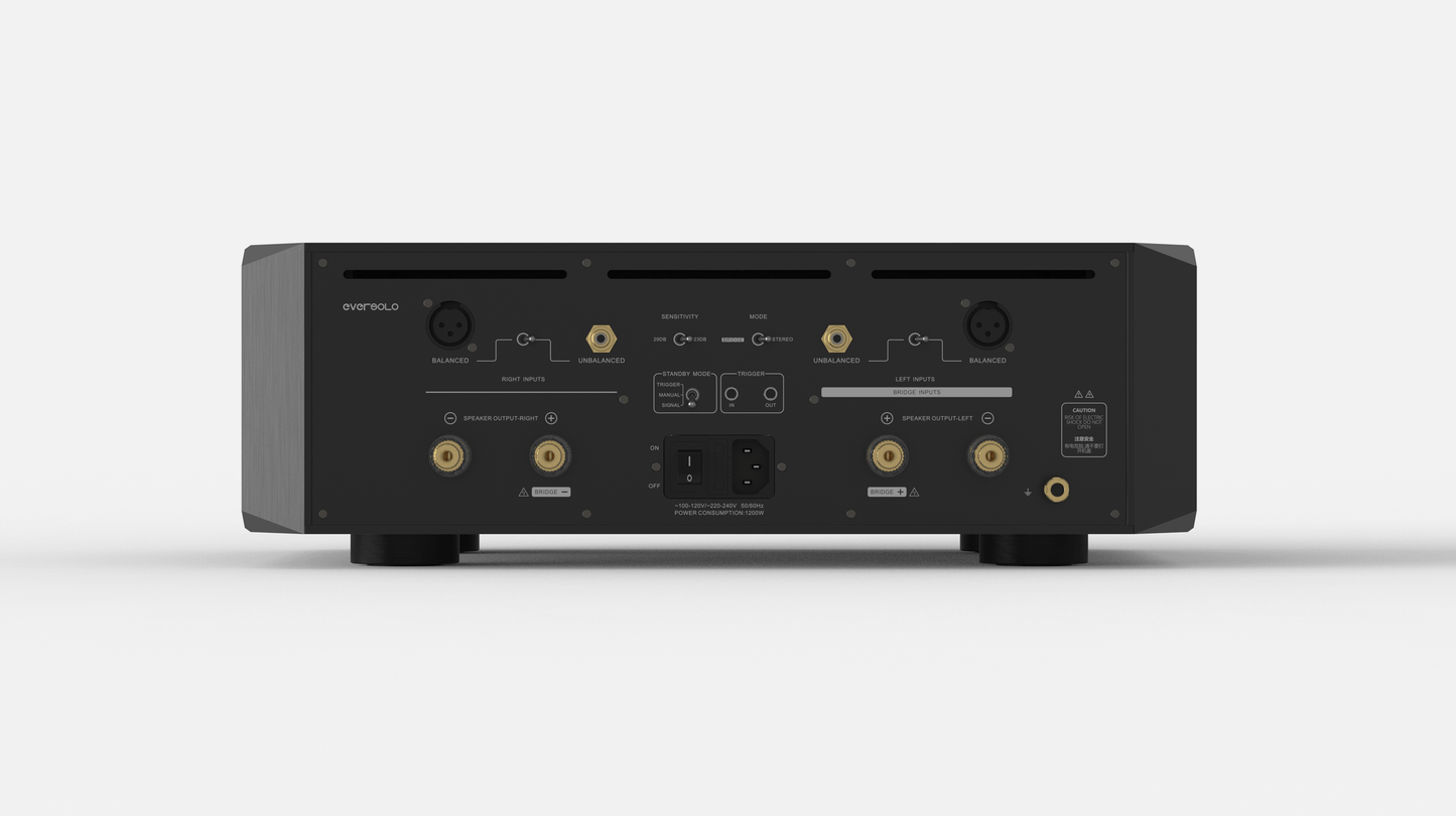 Eversolo AMP-F10 High-Performance Power Amplifier - View 2