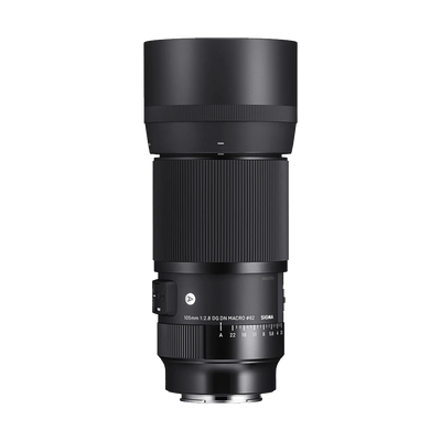 Sigma 105mm f/2.8 DG DN Macro Art Lens (Sony E)