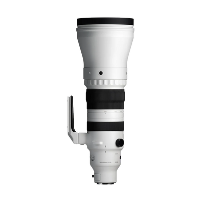 Sigma 300-600mm f/4 DG OS Sports Lens (Sony E)