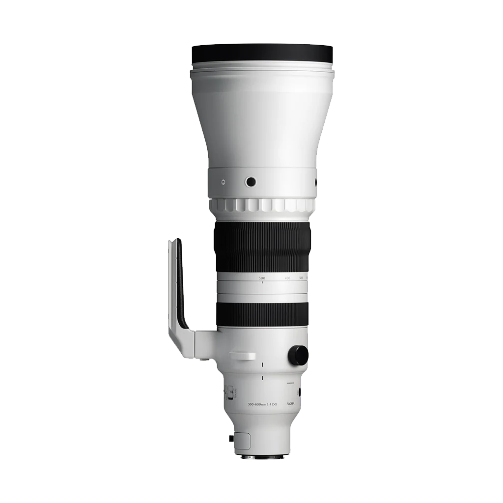Sigma 300-600mm f/4 DG OS Sports Lens (L-Mount)