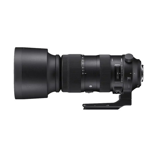 Sigma 60-600mm f/4.5-6.3 DG OS HSM Sports Lens (Nikon F)