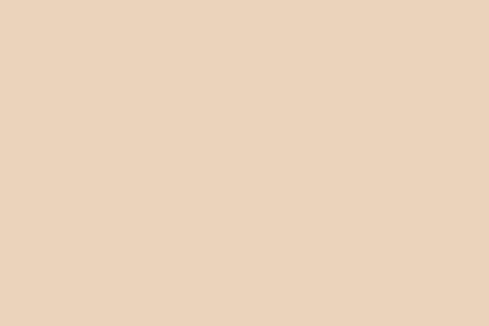 Background Paper Roll 2.72 x 11m (Ivorine) - Background - VisionSounds South Africa