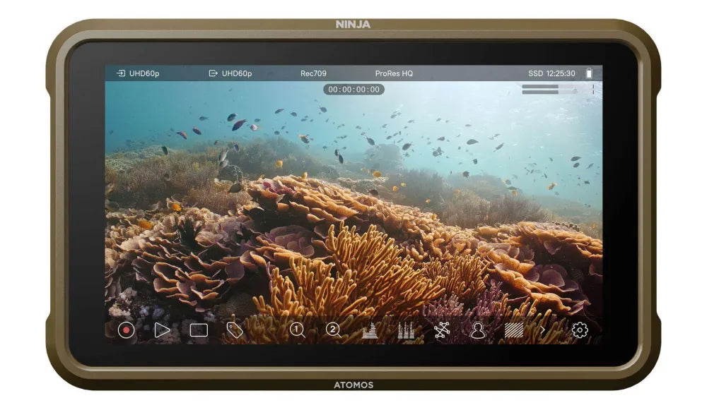 Atomos Ninja - Atomos - VisionSounds South Africa